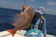 Pargo-Criollo-7