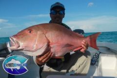 Pargo-Criollo-9