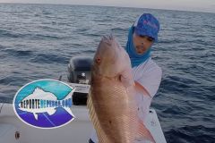 Pargo-Criollo