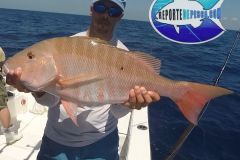 Pargo-Sanjuanero-1