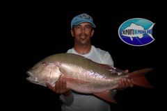 Pargo-Sanjuanero-2