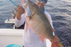 Pargo