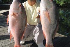 Pargos-Criollos-12-scaled