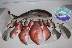 Bottom-Fishing-10