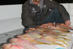 Bottom-Fishing-15