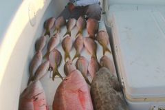 Bottom-Fishing-23