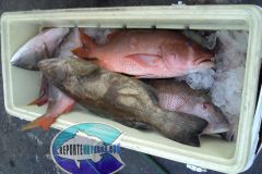 Bottom-Fishing-26