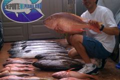 Bottom-Fishing-35