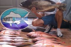 Bottom-Fishing-37