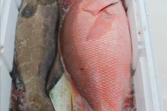 Pesca-de-Fondo