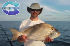 Porgy-1