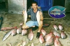 Snappers-1