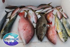 Drift-Fishing-1