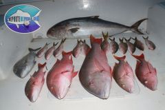 Drift-Fishing-10