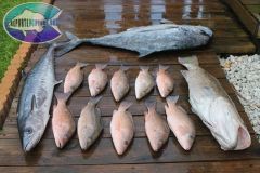 Drift-Fishing-11