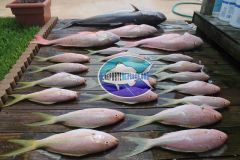 Drift-Fishing-13