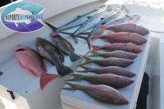Drift-Fishing-14