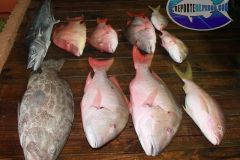 Drift-Fishing-16