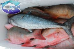 Drift-Fishing-18