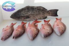 Drift-Fishing-19