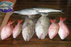 Drift-Fishing-20