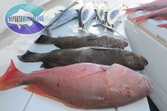 Drift-Fishing-21