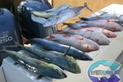 Drift-Fishing-25