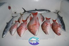 Drift-Fishing-3
