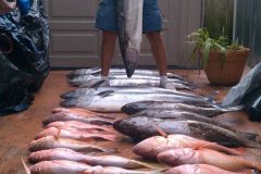 Drift-Fishing-31