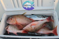 Drift-Fishing-4