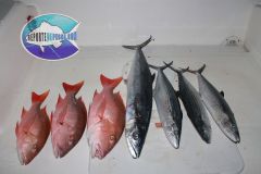 Drift-Fishing-6