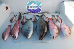 Drift-Fishing-7