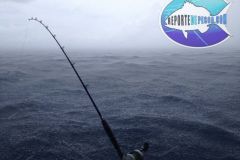 Fishing-Raining