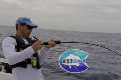 Rod-Bent