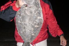 Flounder-1
