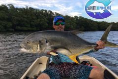 Jack-Crevalle