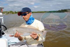 Redfish-1