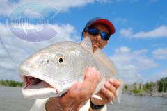 Redfish-2
