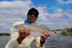Redfish-3