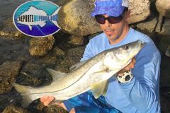 Robalo