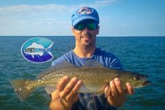 Seatrout-1