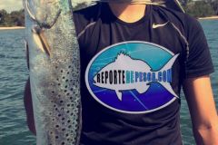 Seatrout
