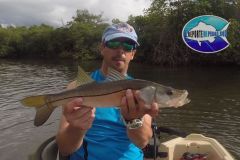 Snook-1