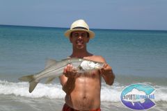 Snook-2