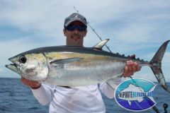 Blackfin-Tuna-1