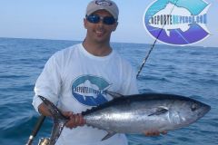 Blackfin-Tuna-2