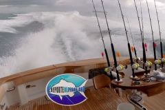 Kite-Fishing-1