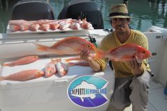Deep-Drop-Snappers