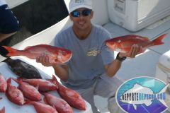 Vermilion-Snappers-3