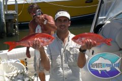 Vermilion-Snappers-4